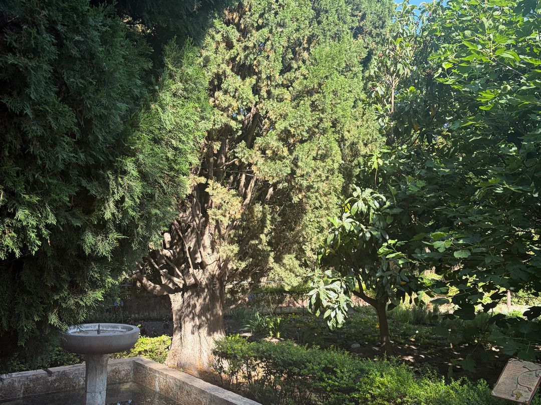 Jardin Nazari-Velez de Benaudalla必去景点
