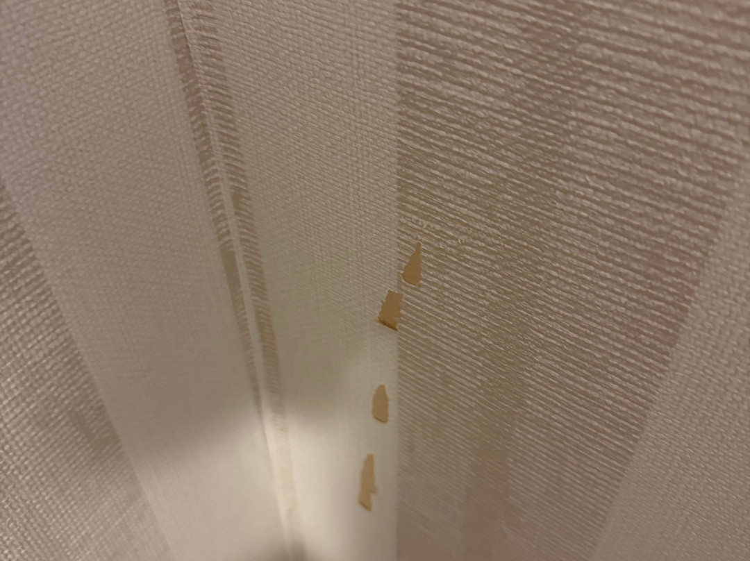 拜亚阿祖拉酒店主图