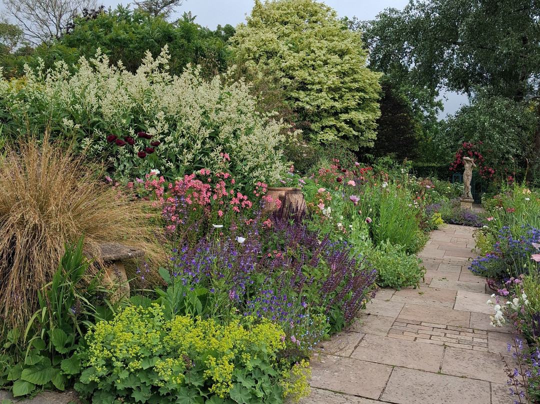 Burrow Farm Gardens-Dalwood必去景点