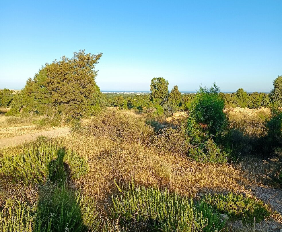 Quad Hammamet-Bir Bou Rekba必去景点