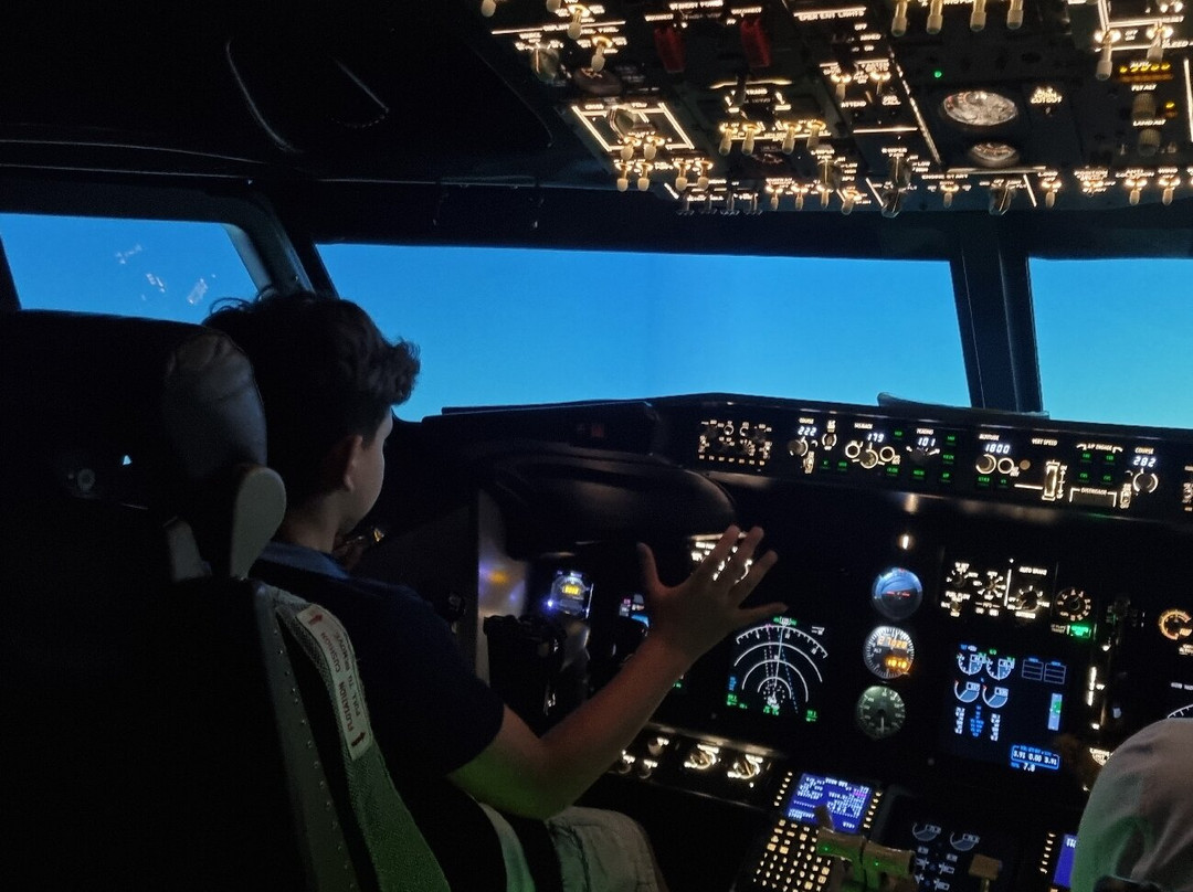 Dastyflysim - Professional Flight Simulator-Bagnatica必去景点