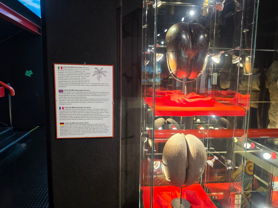 Museo delle curiosità-圣马力诺城必去景点