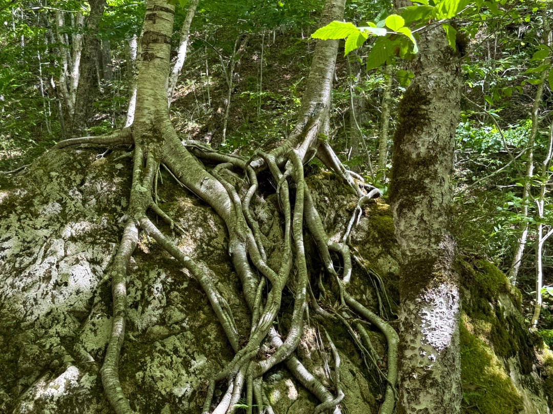 Uisge Ban Falls-Baddeck必去景点