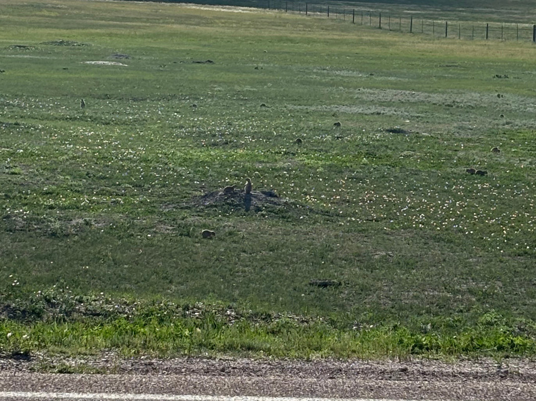 Badlands National Park-拉皮德城必去景点
