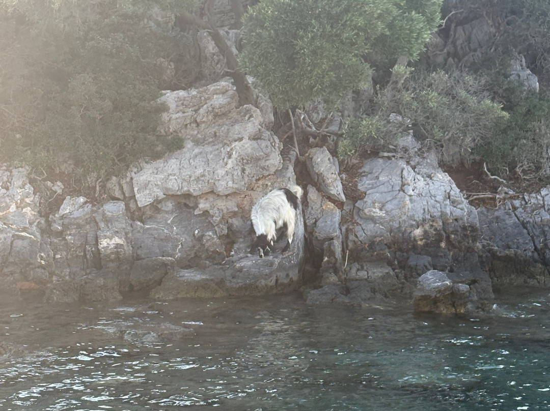 Gocek Tour Travels-戈西克必去景点