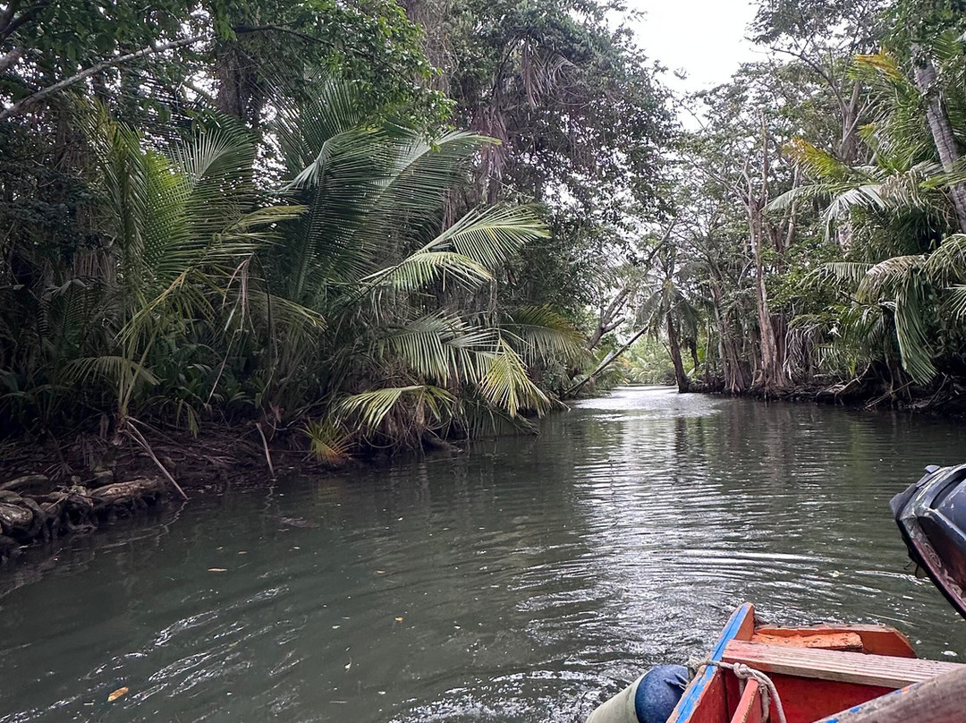 Indian River-多米尼克必去景点