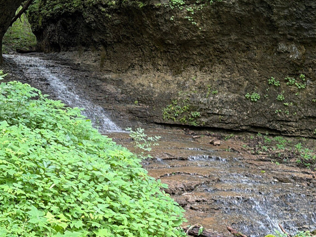The Highlands Nature Sanctuary-Bainbridge - Ross County必去景点