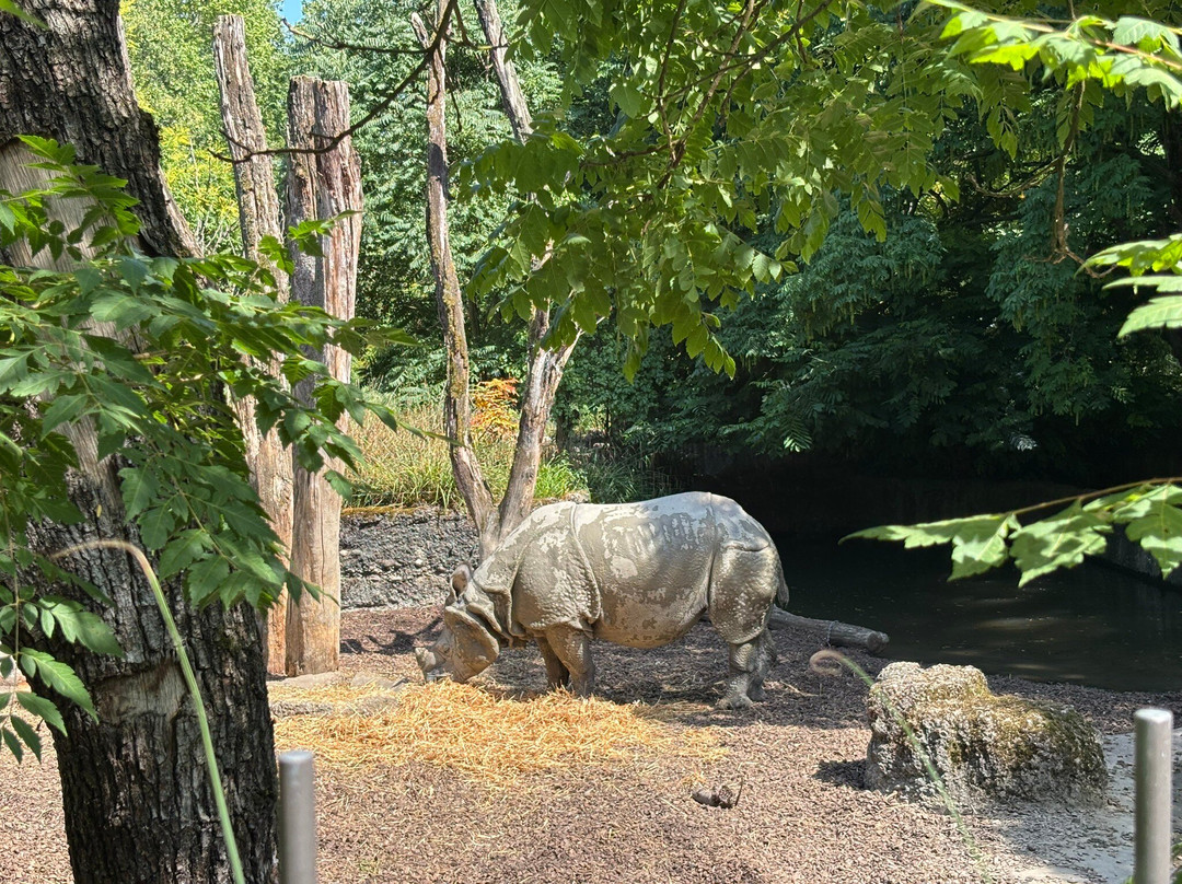 Zoo Basel-巴塞尔必去景点