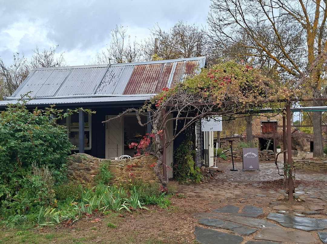 Lavandula Farm