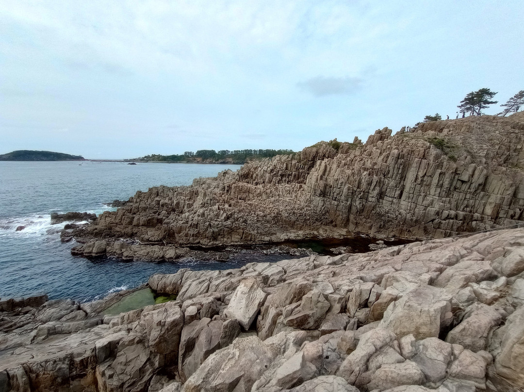 Tojimbo Cliff-坂井市必去景点