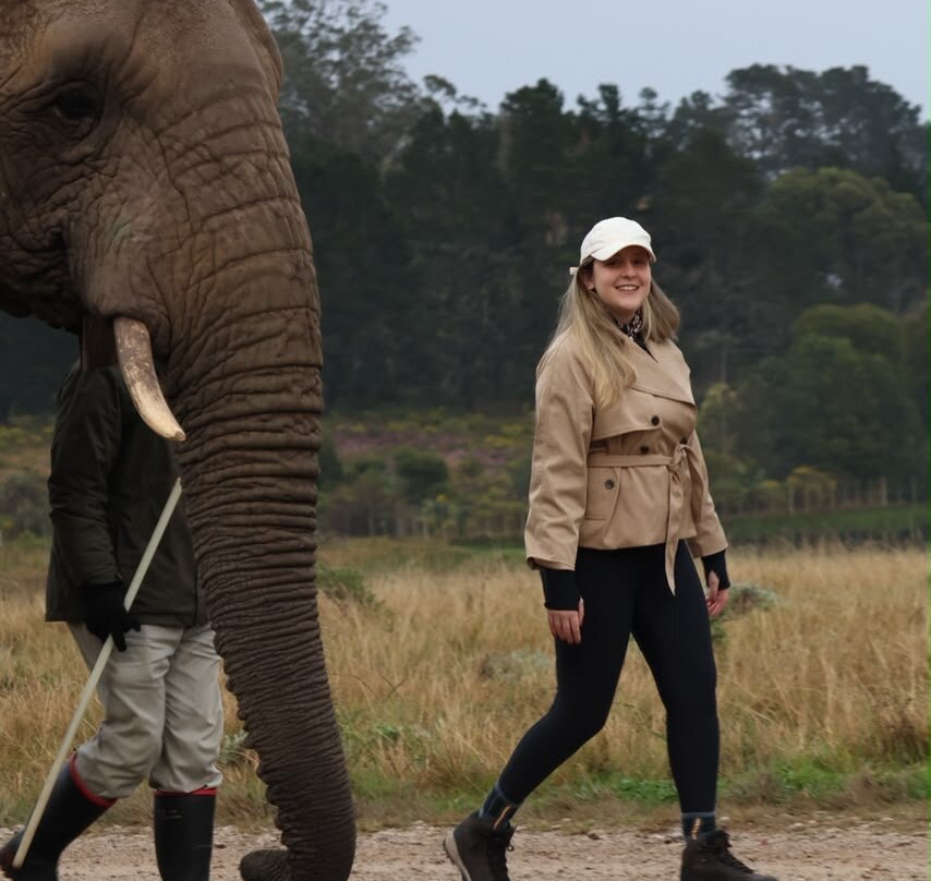 Knysna Elephant Park-克尼斯纳必去景点