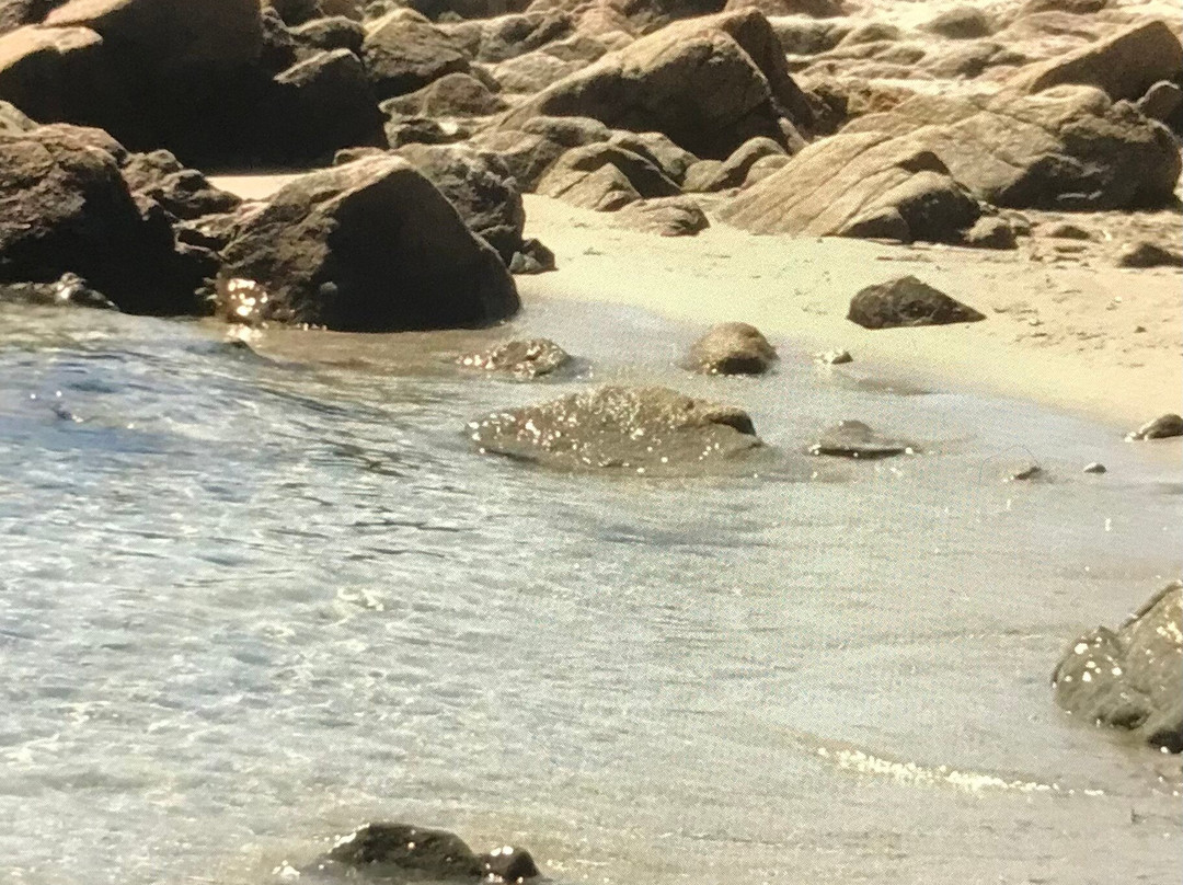 Spiaggia Di Berchida-Siniscola必去景点