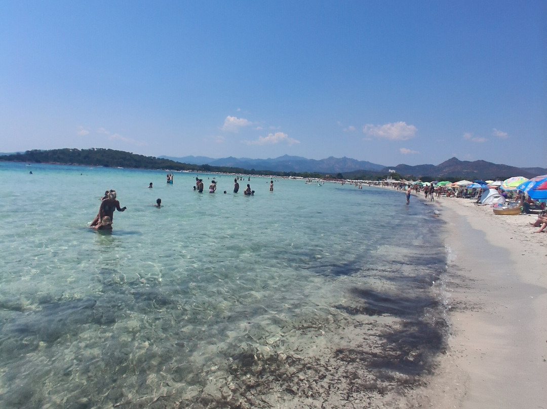 Cala Brandinchi-Capo Coda Cavallo必去景点