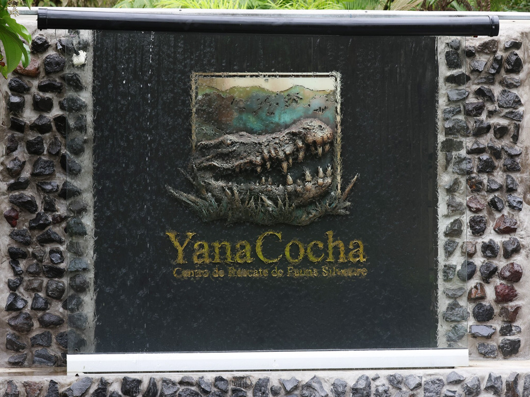 Yana Cocha-Puyo必去景点