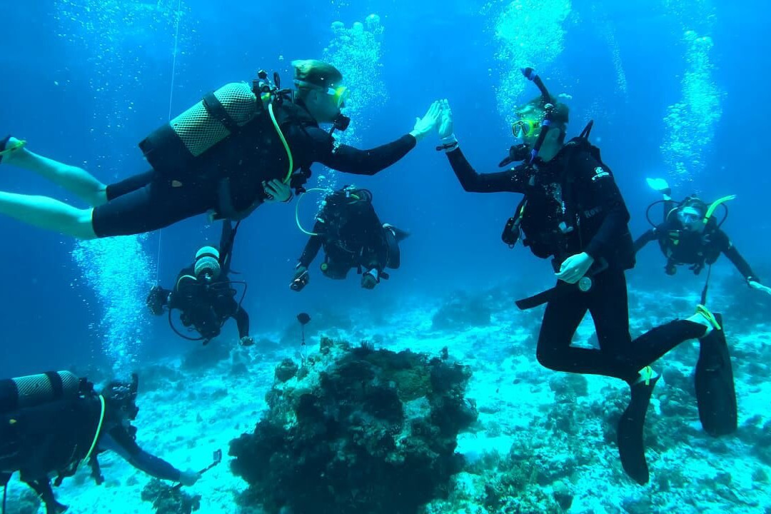Pemba Dive Center-Makangale必去景点