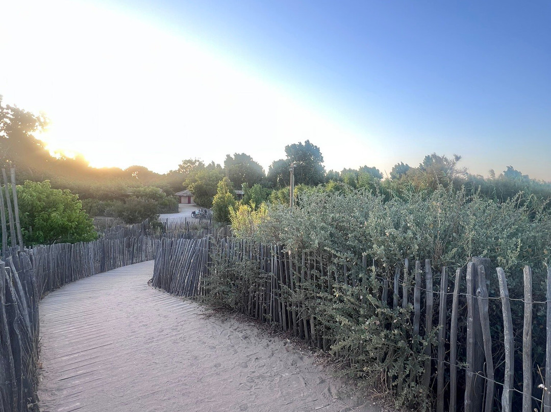 Camping Yelloh! Village Le Sérignan Plage主图