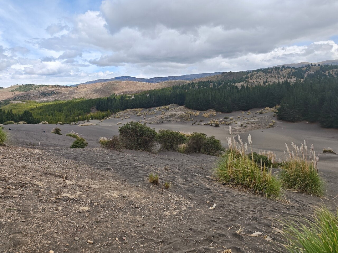 Desierto De Palmira-Chimborazo Province必去景点