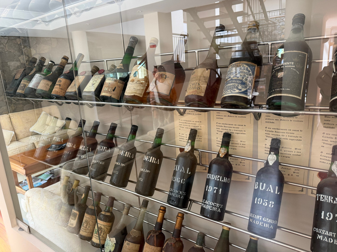 索拉德博文图拉酒店主图