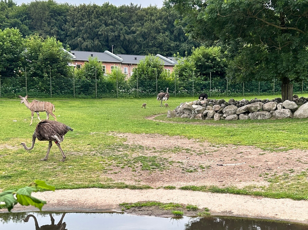 Aalborg Zoologiske Have-奥尔堡必去景点