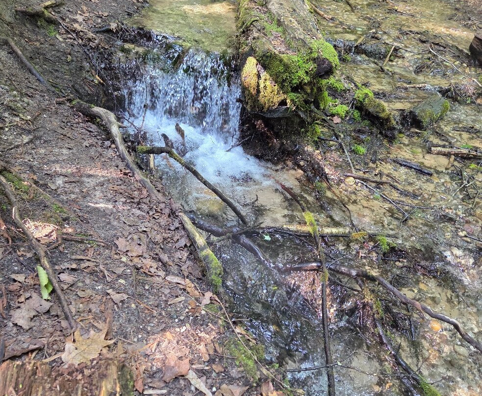 Iargo Springs-Oscoda必去景点