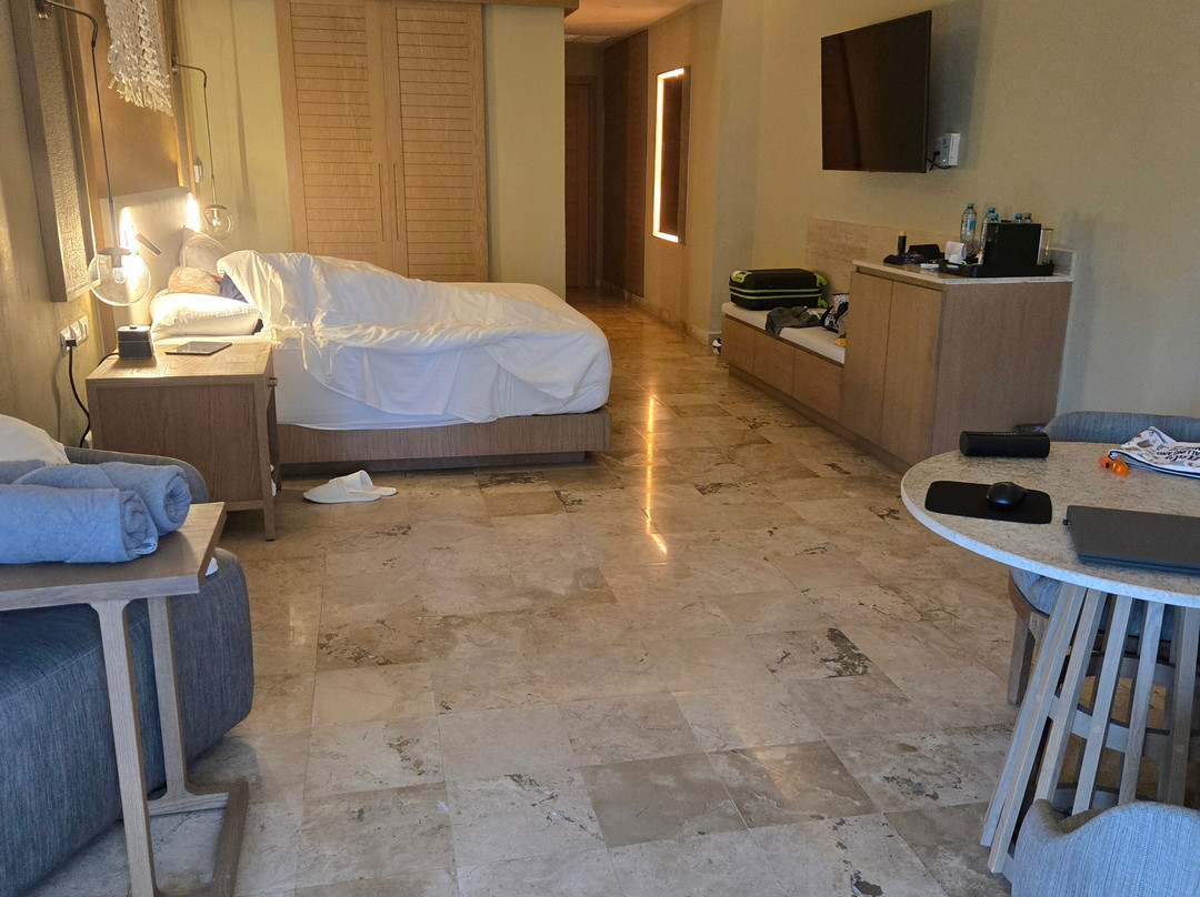 玛雅海滨Hyatt奇乐全包式酒店 - 限成人主图