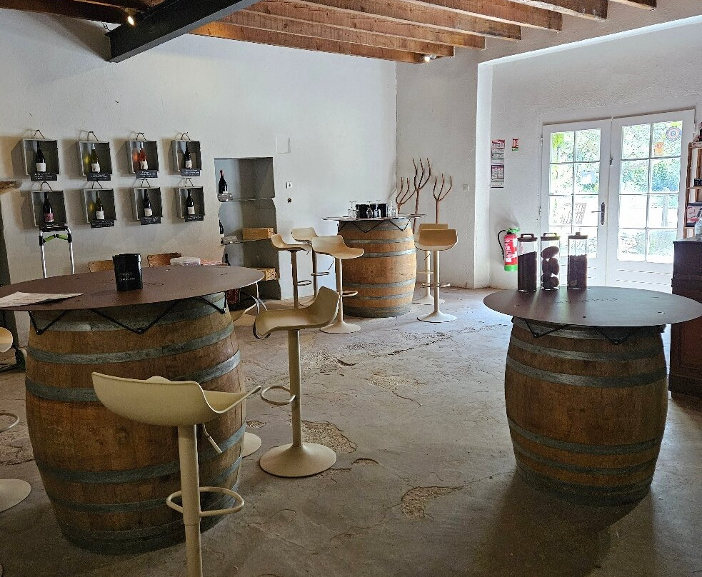 Visite au Domaine Galévan-Courthezon必去景点