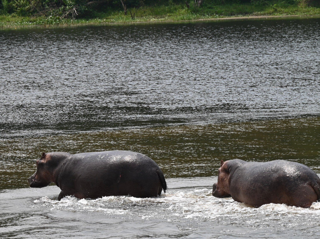 Grassrootz Adventures Uganda-坎帕拉必去景点