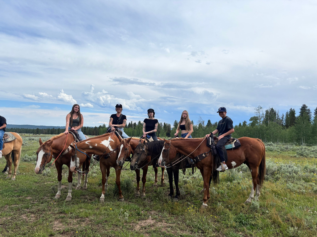 Yellowstone Horses - Eagle Ridge Ranch-艾兰帕克必去景点