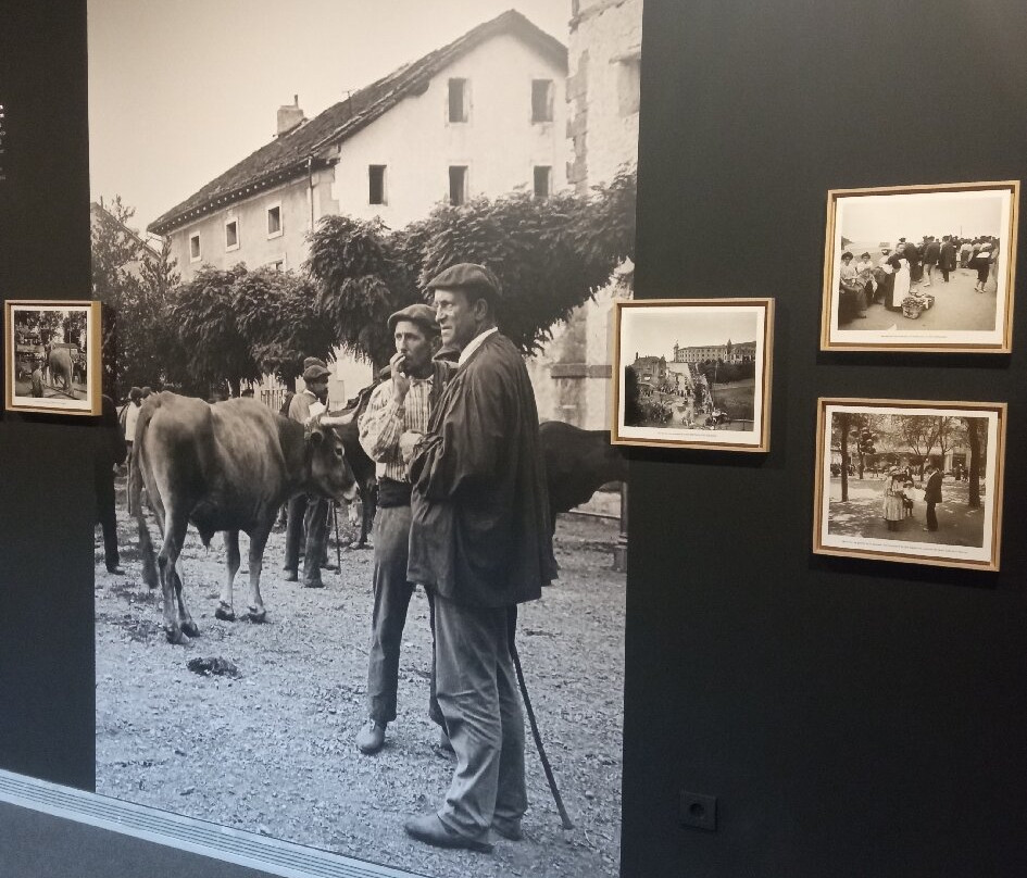 Museo de la Rioja-洛格罗尼奥必去景点