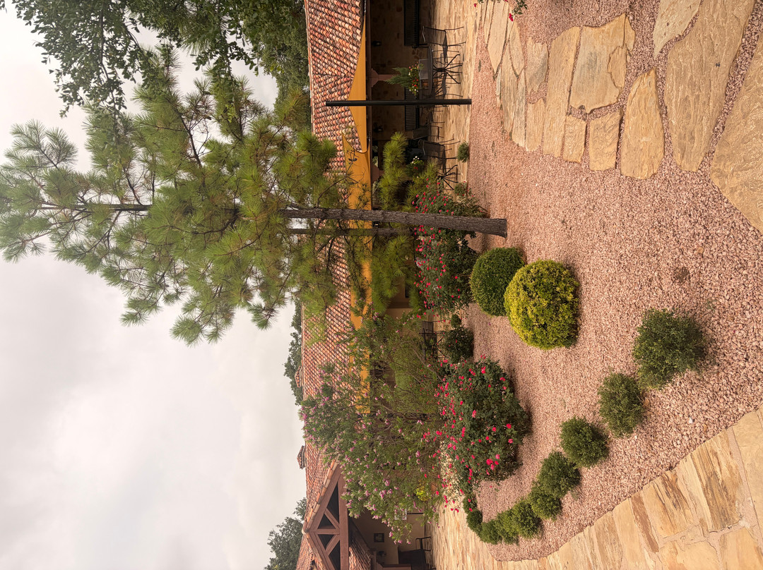 Grape Creek Vineyards Fredericksburg-弗雷德里克斯堡必去景点