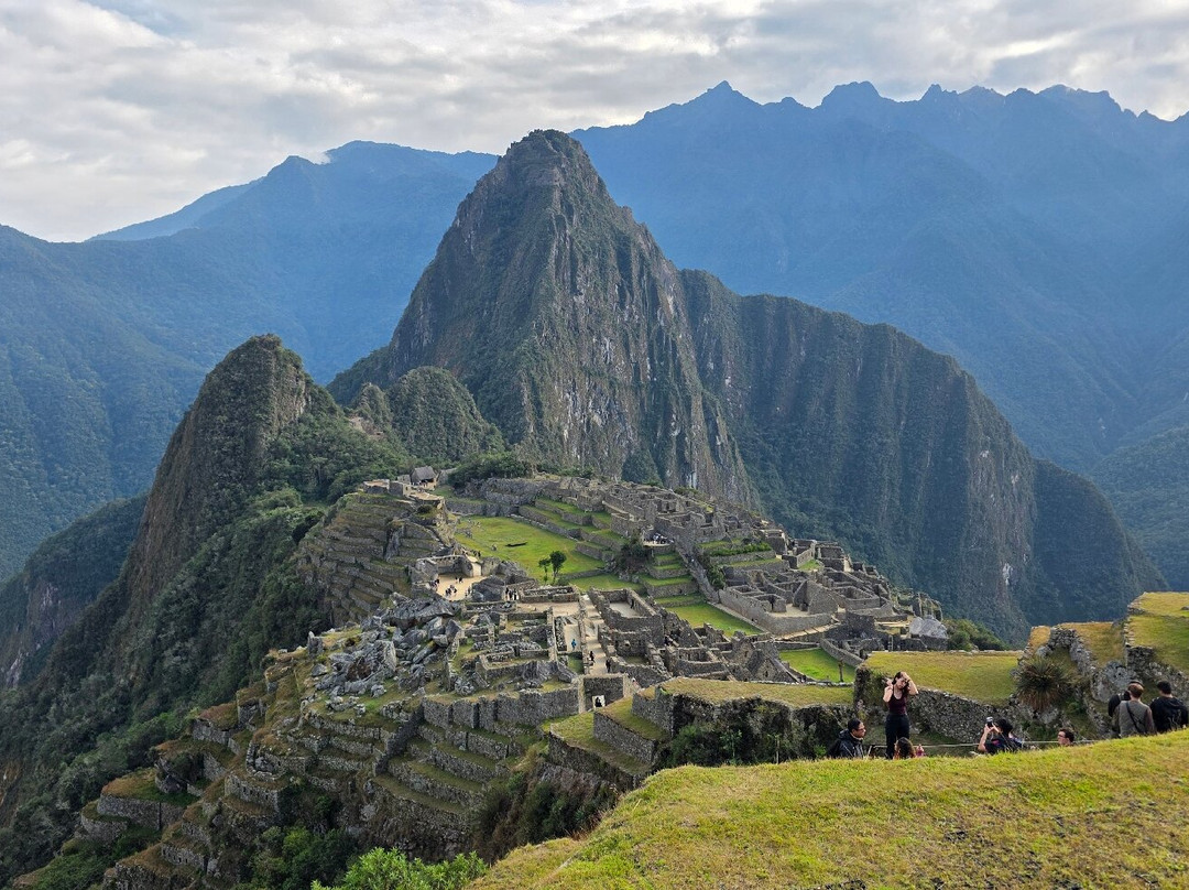 Alpaca Expeditions-库斯科必去景点