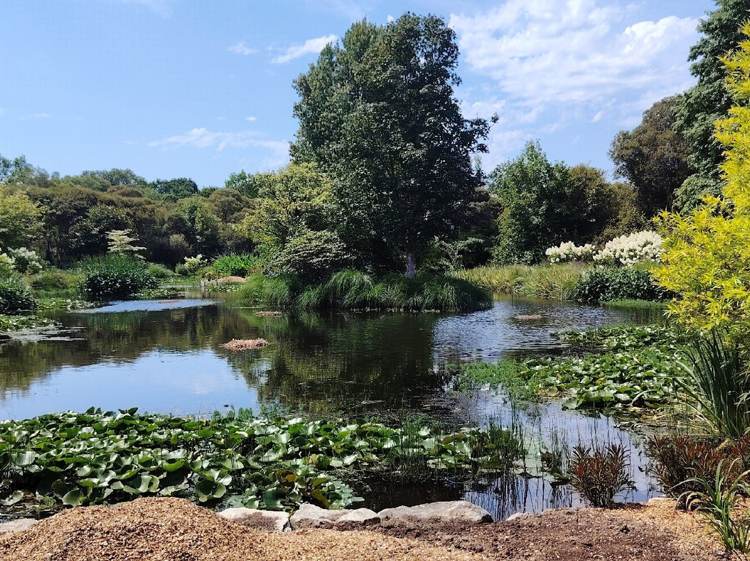 Parc Botanique de Cornouaille-孔布里必去景点
