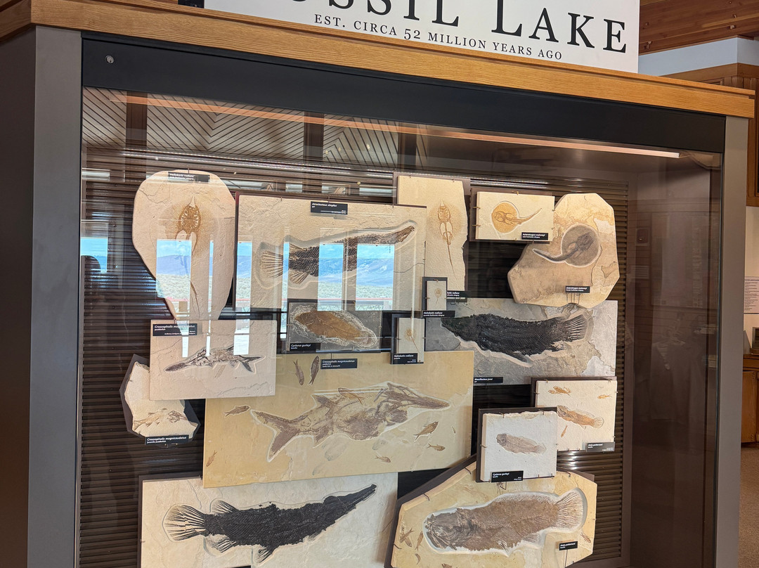 Fossil Butte National Monument-Kemmerer必去景点