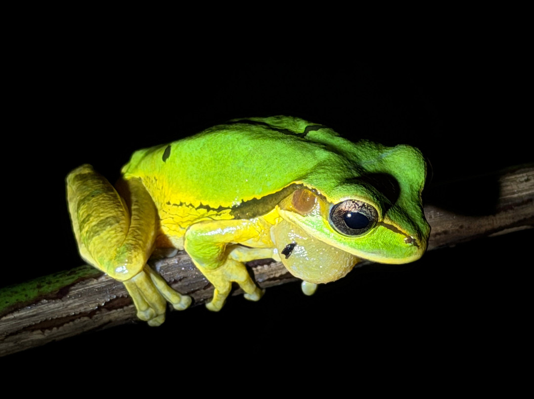 Tirimbina Biological Reserve-La Virgen必去景点