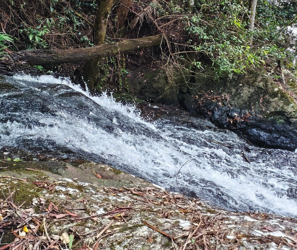 Purling Brook Falls-春之泉必去景点