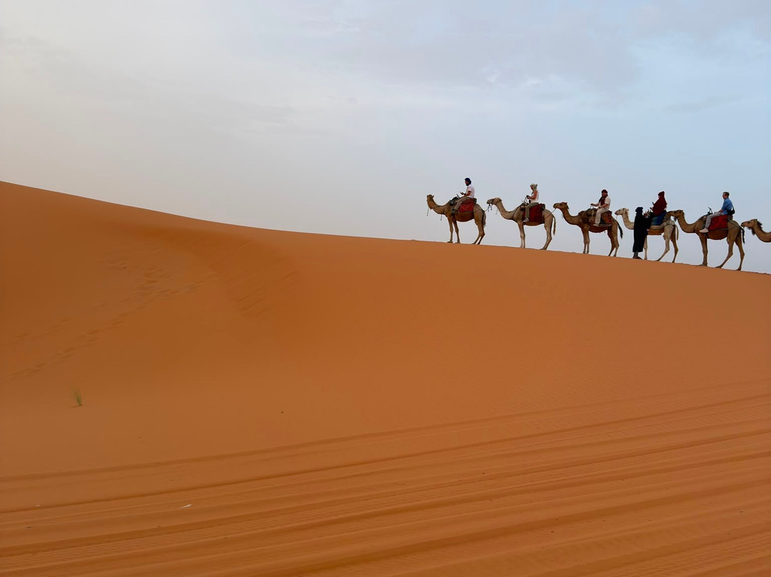 Morocco Shining Tours-非斯必去景点