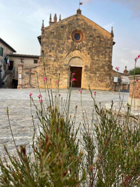 Rooms and Wine Monteriggioni-旅行者