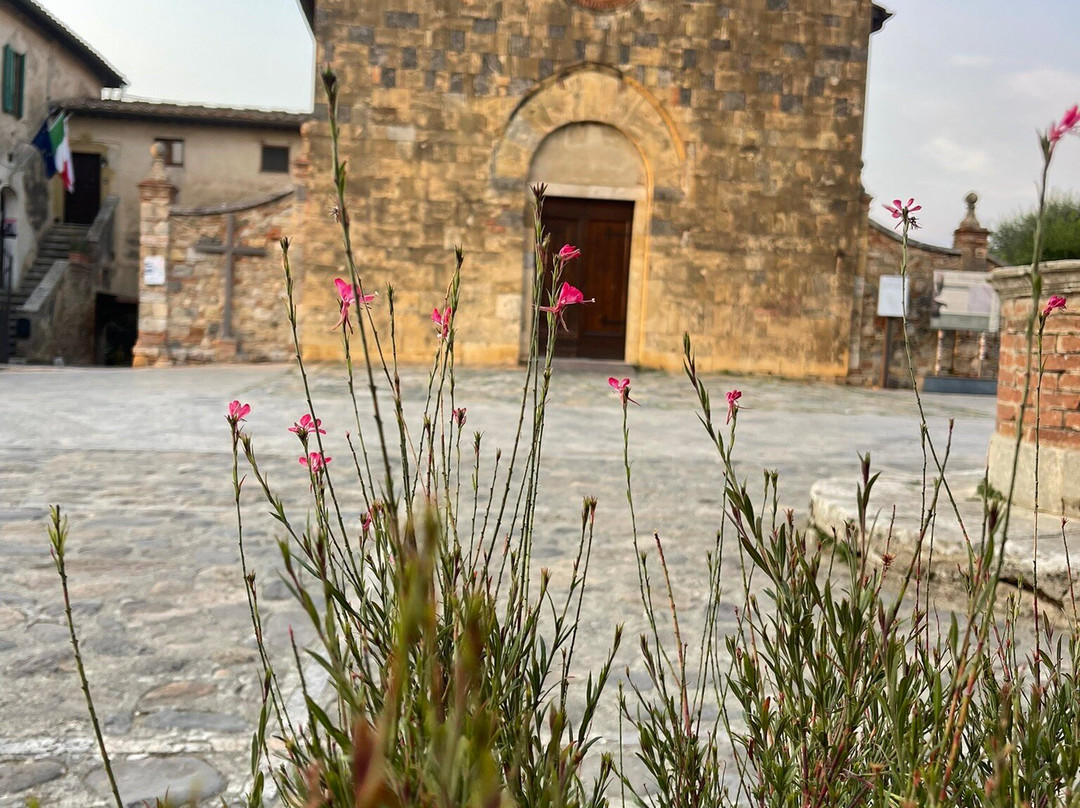 Rooms and Wine Monteriggioni主图