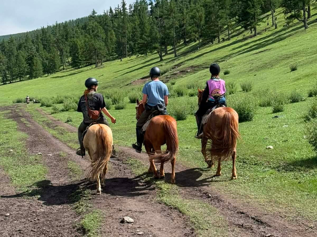 Fat Horse Mongolia-Darhan必去景点
