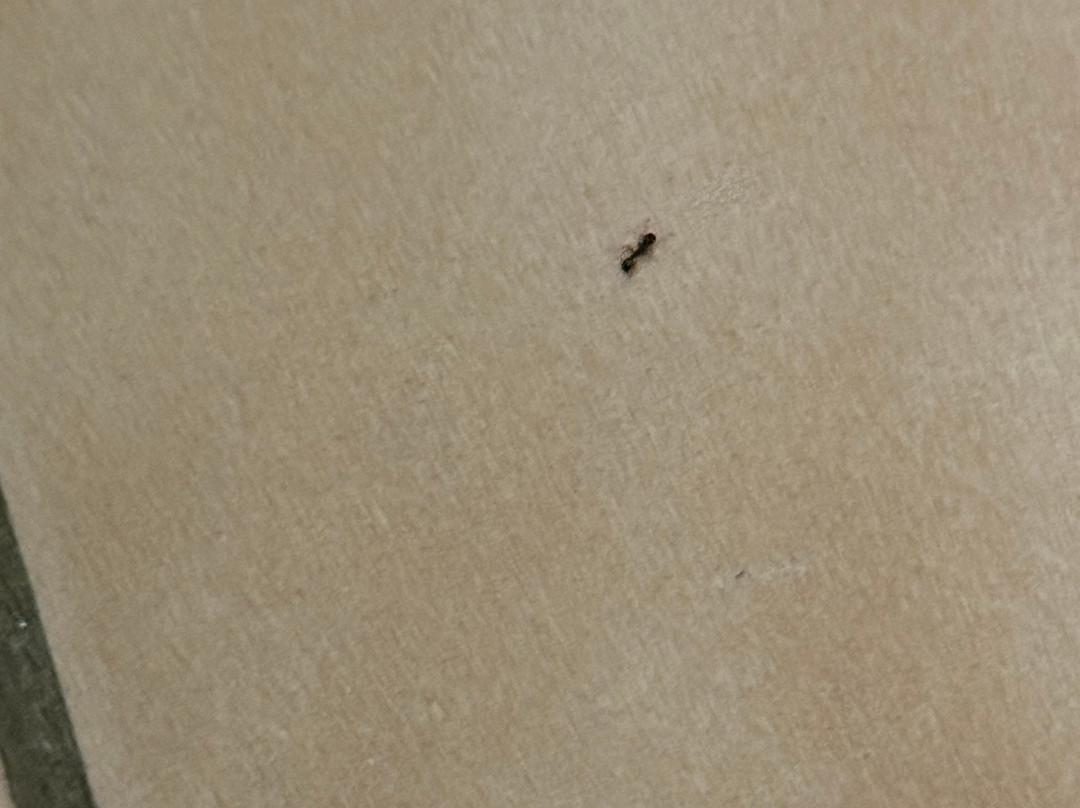 梅迪辛哈特璀蔓臻选温德姆,山林小屋主图