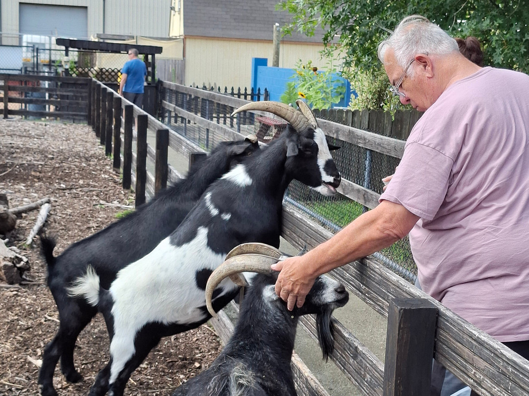 SPCA Petting Zoo-纽波特纽斯必去景点