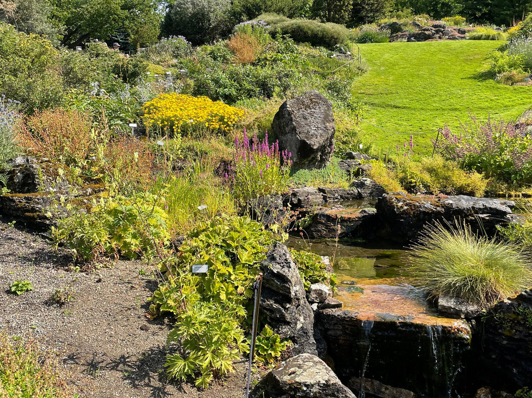 Botanical Garden-奥斯陆必去景点