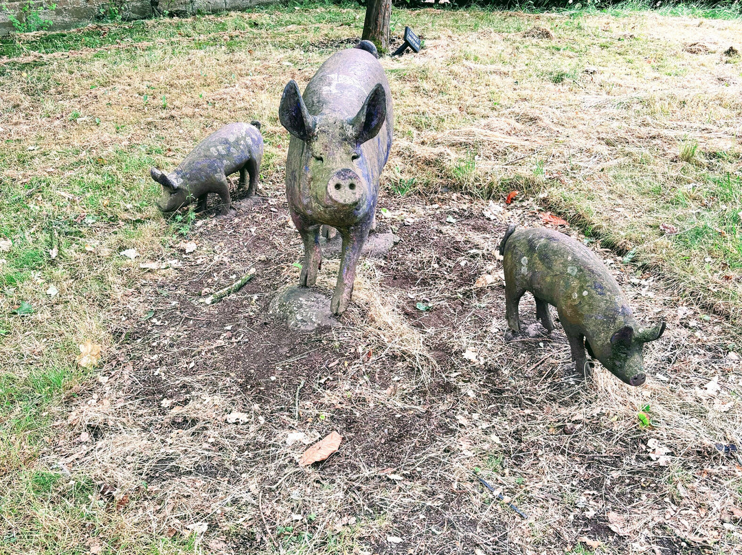Norton Priory Museum and Gardens-朗科恩必去景点