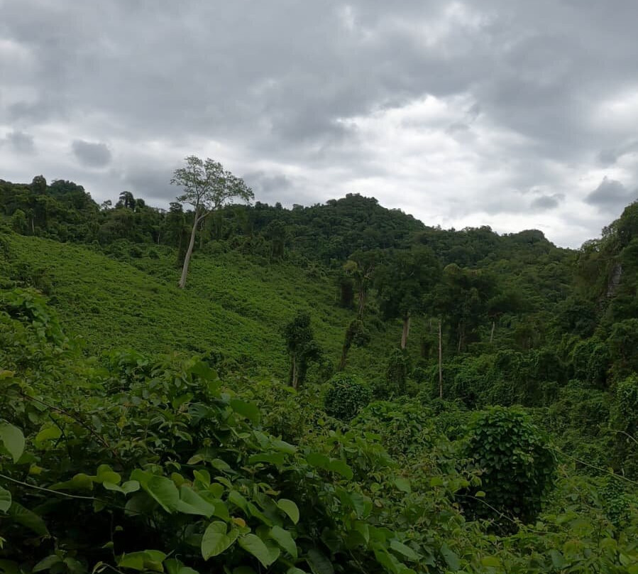 Ruc Mon Adventure Tours-Phong Nha必去景点