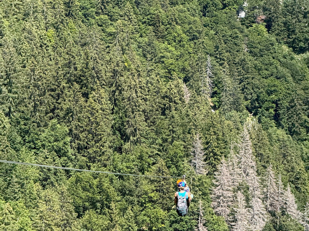 Zipline Bohinj-Bohinjska Bistrica必去景点