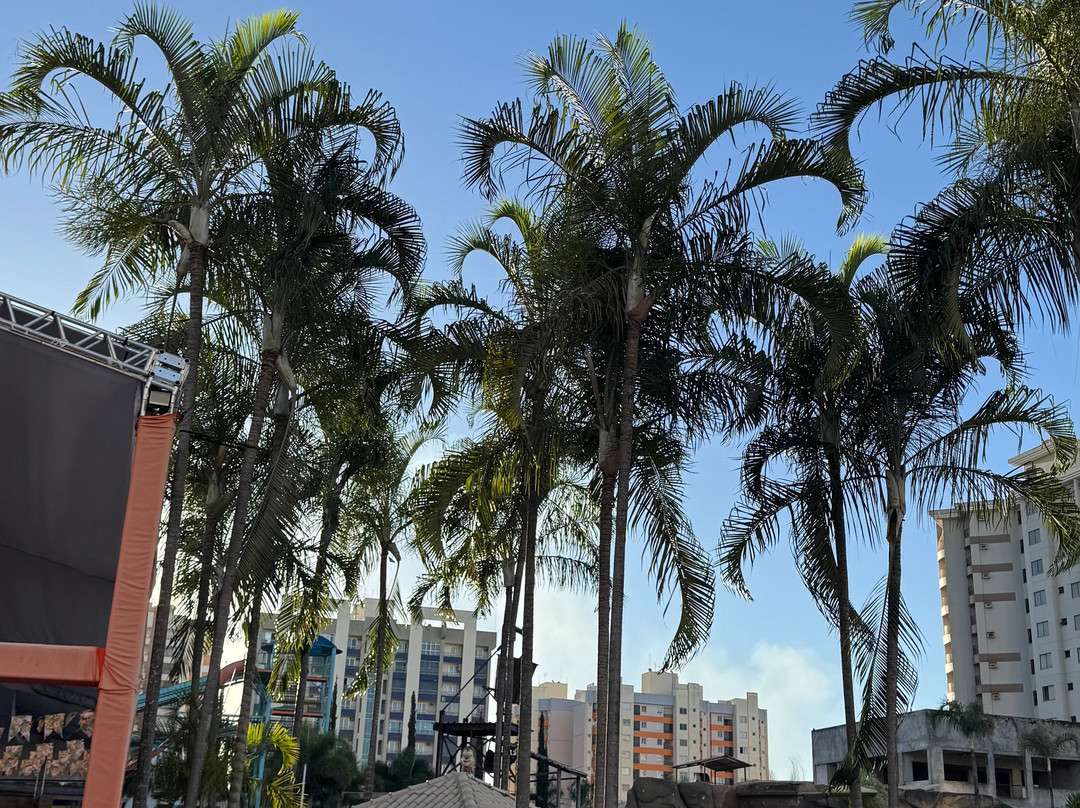 Water Park-Caldas Novas必去景点