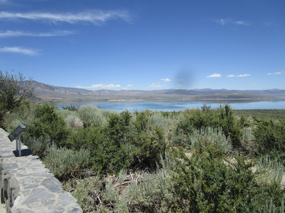 Mono Basin Scenic Area Visitor Center-利韦宁必去景点