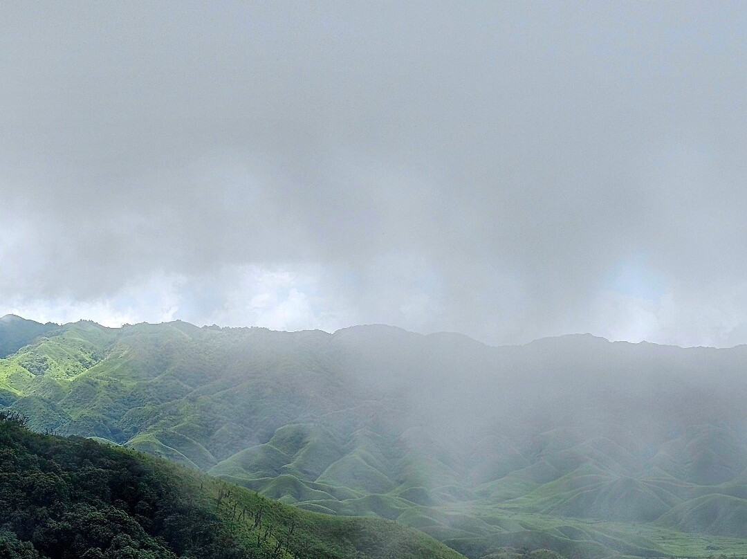 Dzukou Valley-Kohima必去景点