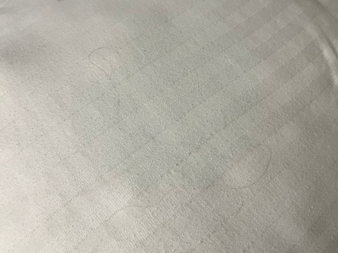 拉昆塔温德姆酒店-近桑达斯基锡达波因特主图
