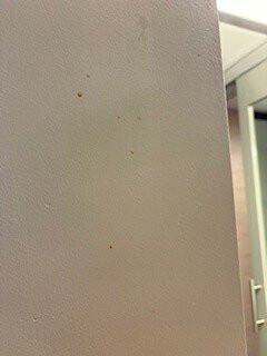 哥伦布韦斯特维尔雅乐轩酒店主图